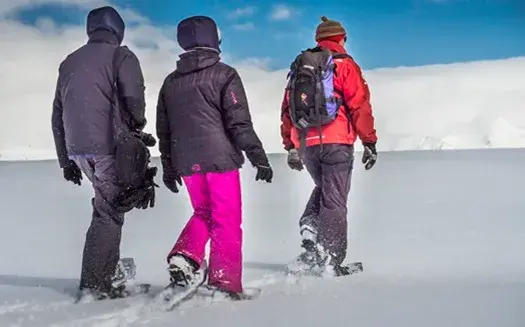Basecamp in Antarctica cruises