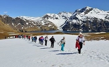 Antarctic Adventures team on shore in Antarctica