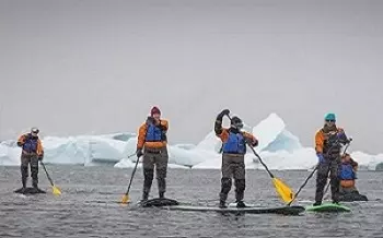 Stand Up Paddleboarding in Antarctica cruises