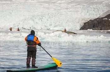 Stand Up in Antarctic Cruises