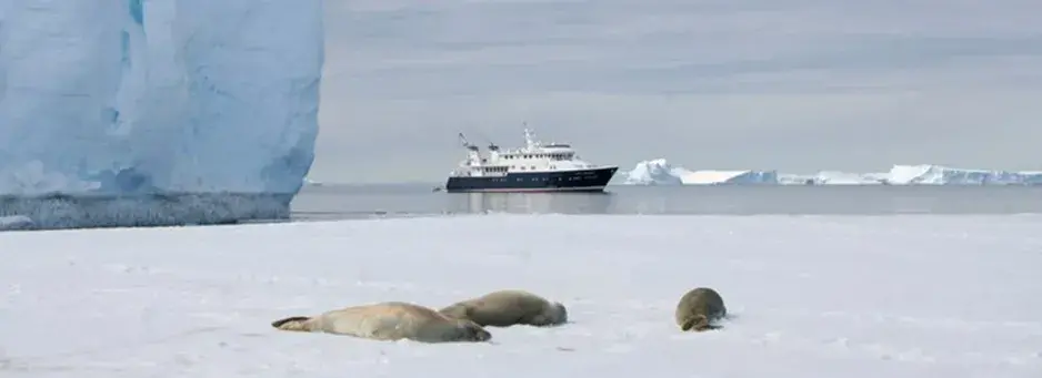 Hanse Explorer - Oceanstar - Antarctic Cruises