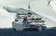 Plancius - Antarctic Cruises