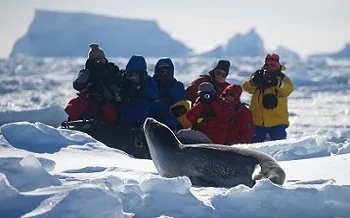 Emperor penguins in Antarctica - Antarctic Adventures